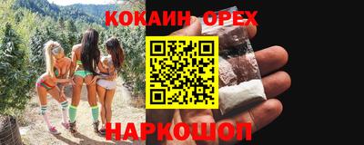 стафф Кингисепп