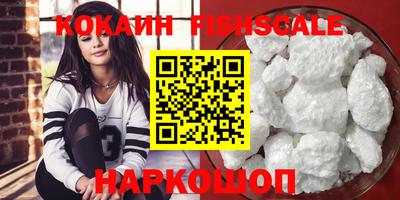 стафф Кингисепп
