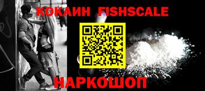 стафф Кингисепп