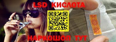 стафф Кингисепп