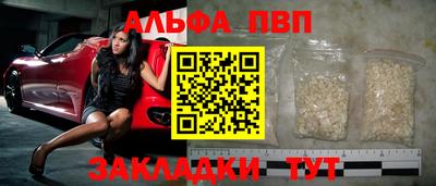 стафф Кингисепп