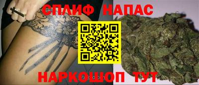 стафф Кингисепп