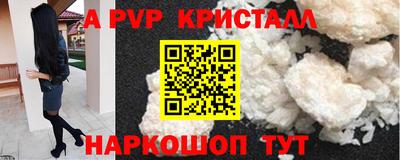 стафф Кингисепп